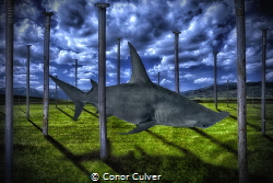"Hammer Forest" part of my Underwater Surrealism body of ... by Conor Culver 